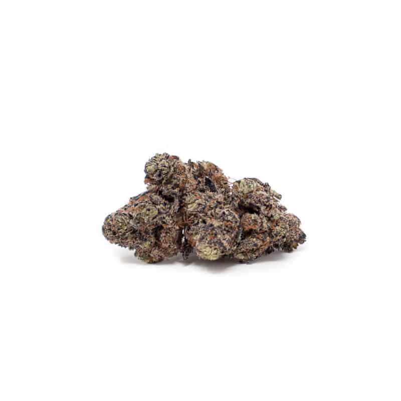 purple haze cogollo