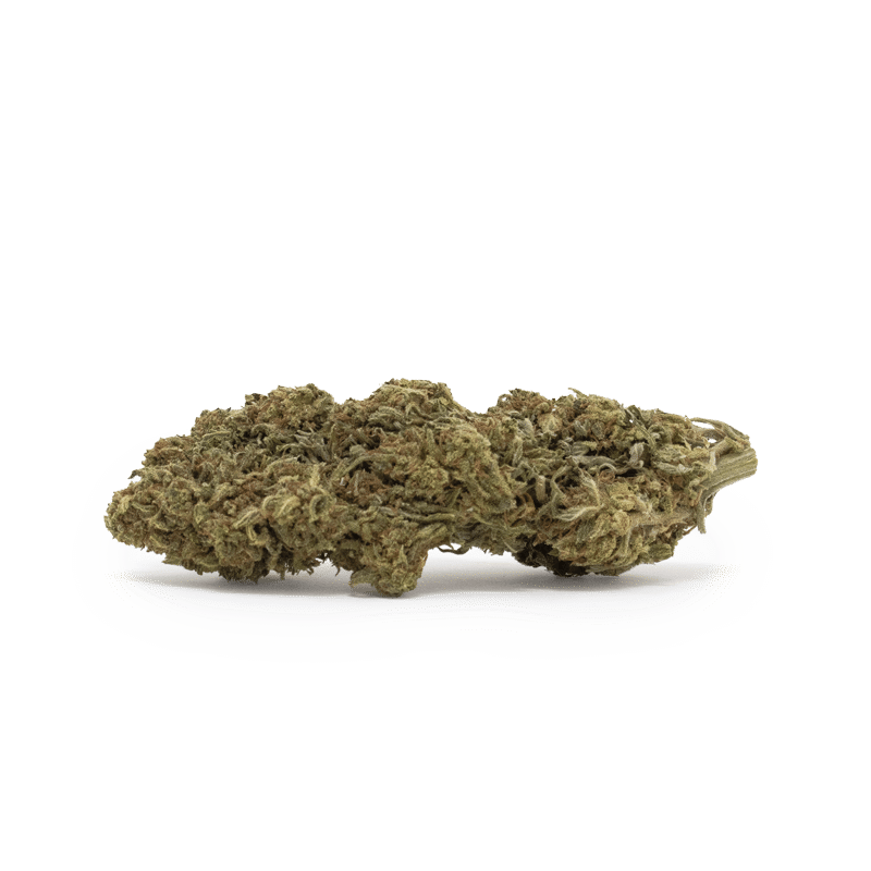 tutti frutti cogollo