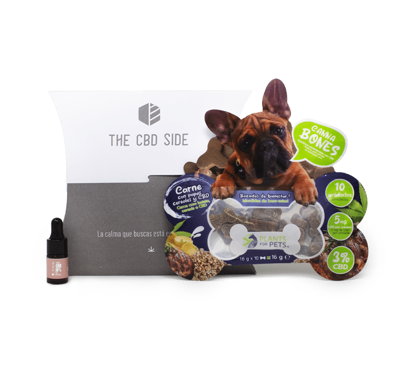 CBD MASCOTAS