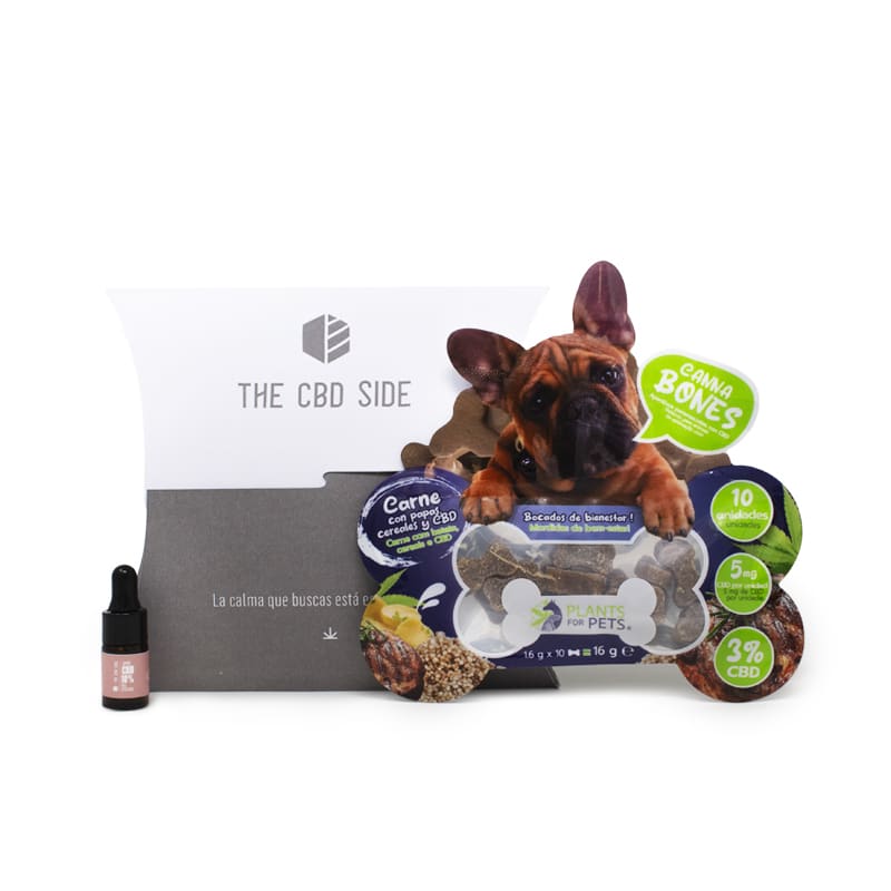CBD perros