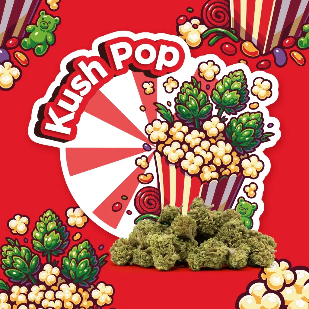 kush pop small buds