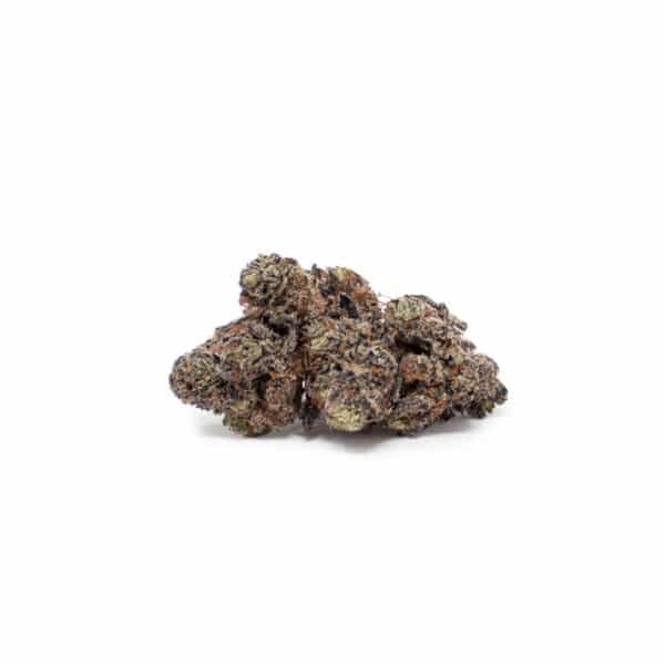 purple haze cogollo