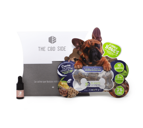 CBD MASCOTAS
